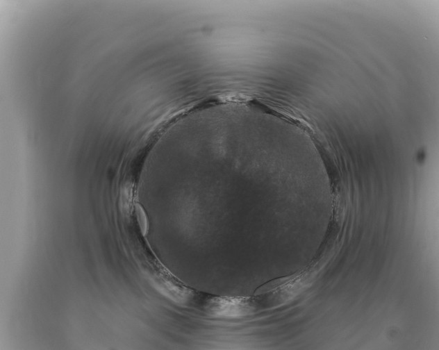 X0000093740093200710231220