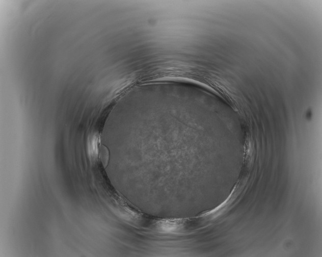 X0000093740094200710231220