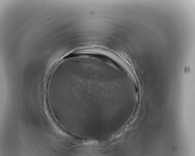 X0000093740097200710231219