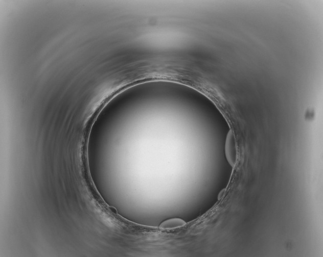 X0000093740098200710231219