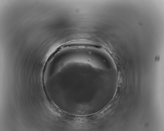 X0000093740099200710231219