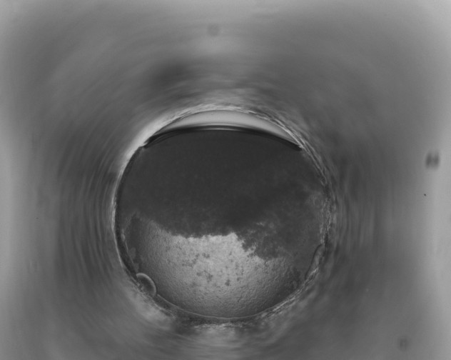 X0000093740100200710231219