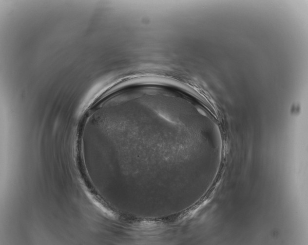 X0000093740101200710231219