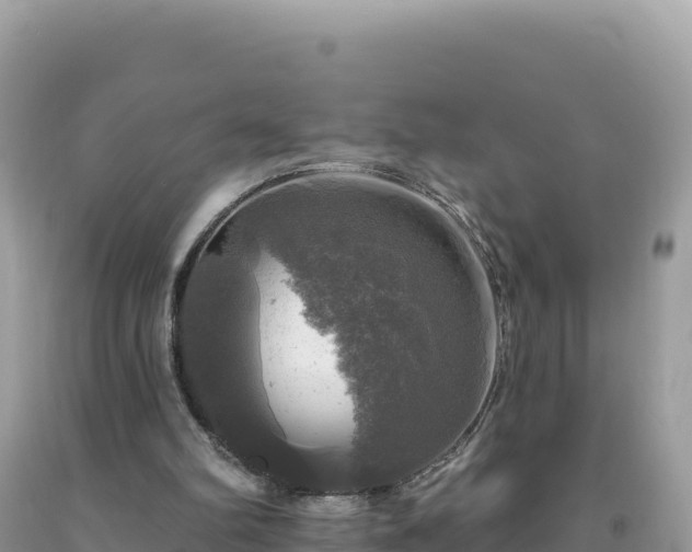 X0000093740102200710231219