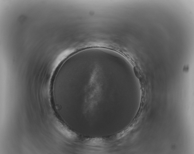 X0000093740104200710231219