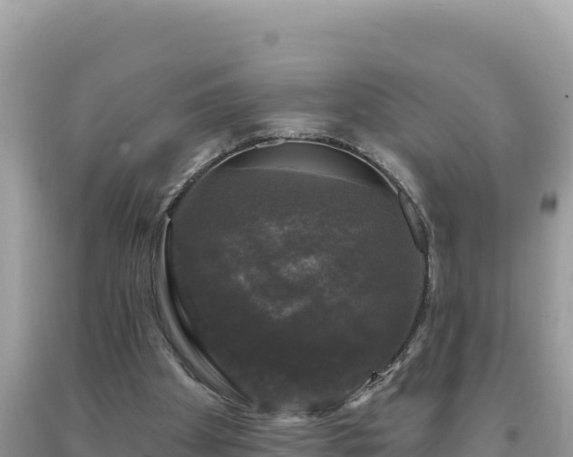 X0000093740105200710231219