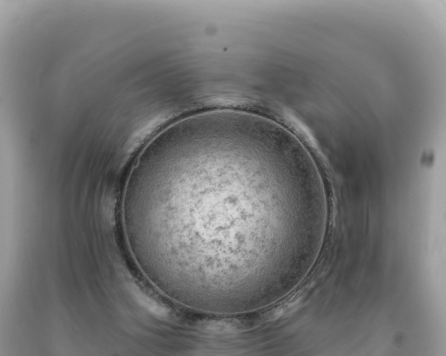 X0000093740106200710231219