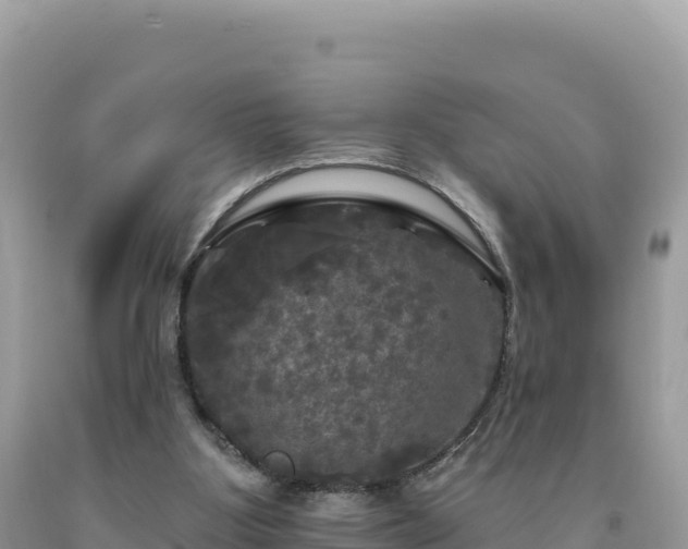 X0000093740107200710231219