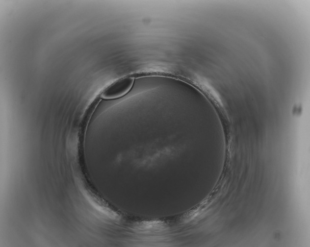 X0000093740108200710231219