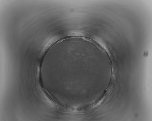 X0000093740109200710231219