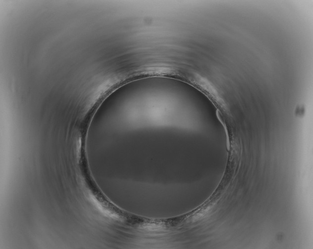 X0000093740110200710231219