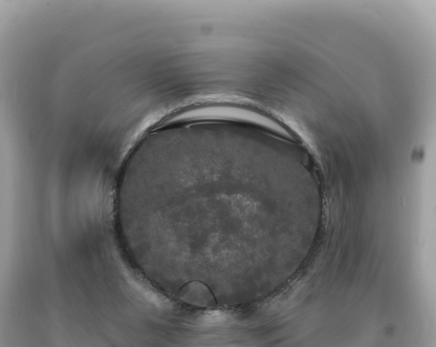 X0000093740111200710231219