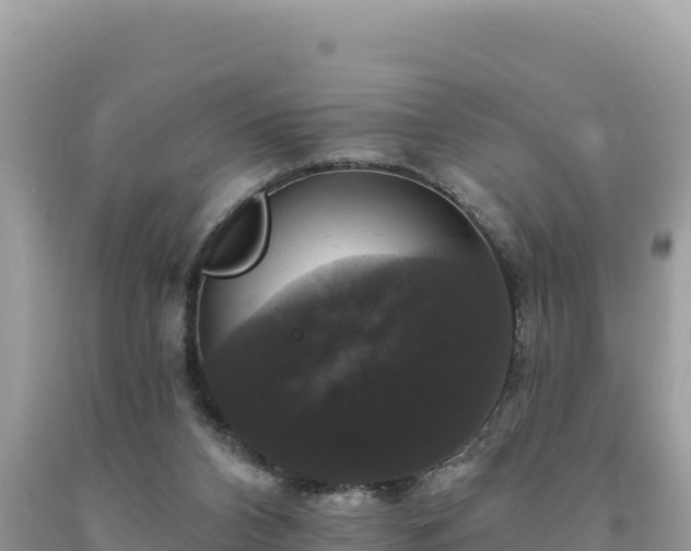 X0000093740112200710231219