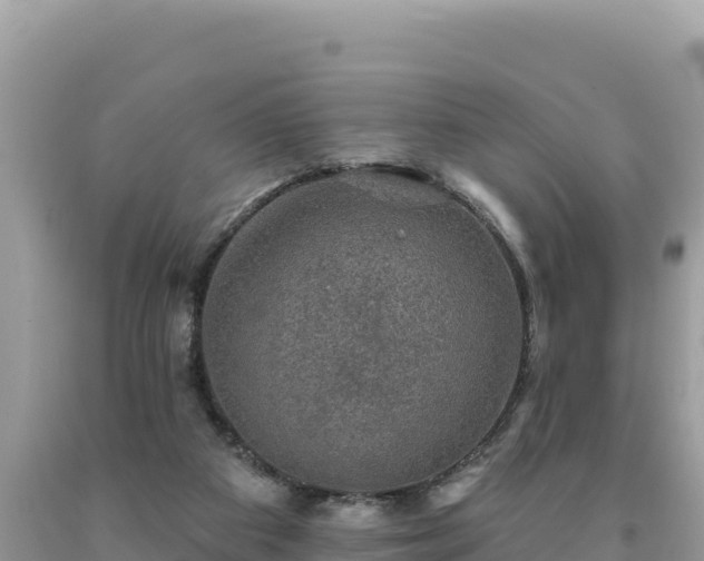 X0000093740113200710231219