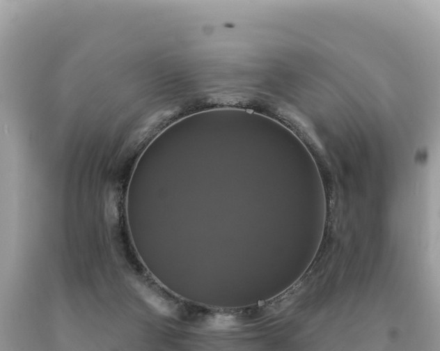 X0000093740114200710231219