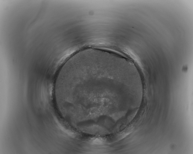 X0000093740115200710231219