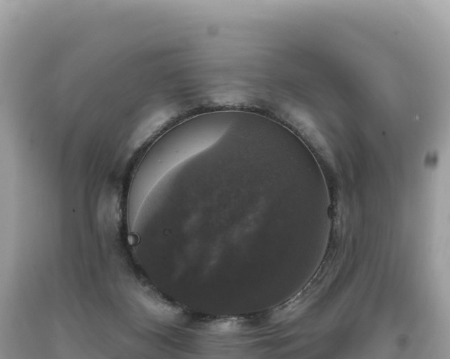 X0000093740116200710231219