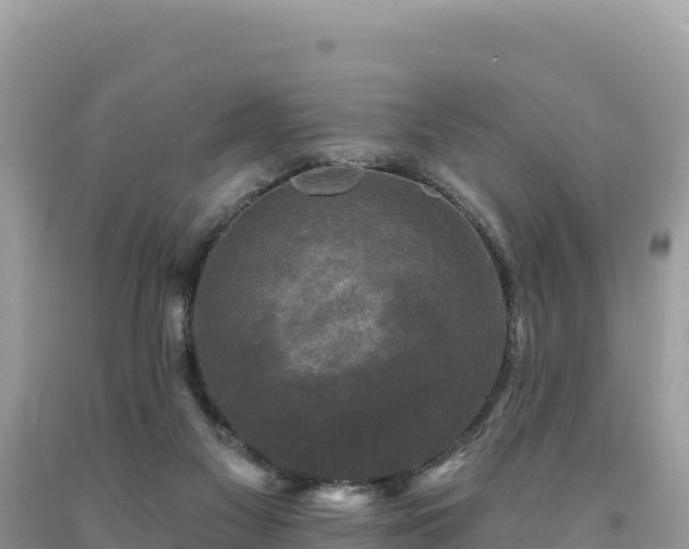 X0000093740117200710231219