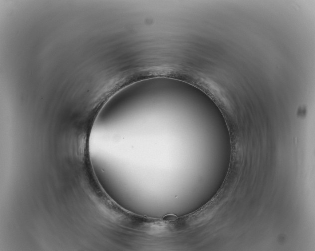 X0000093740118200710231219