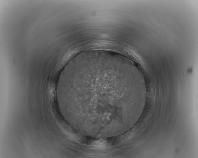 X0000093740119200710231219