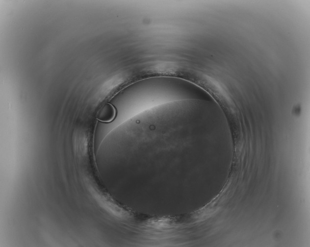 X0000093740120200710231219