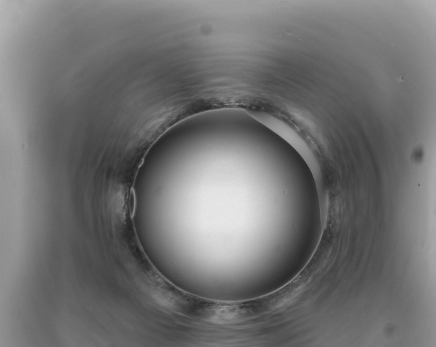 X0000093740121200710231219