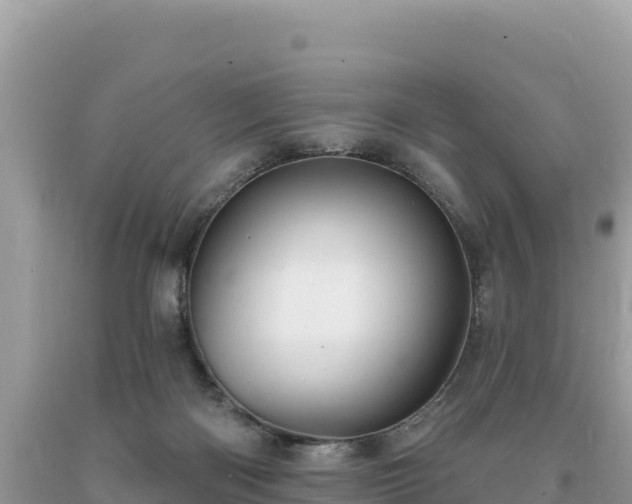 X0000093740122200710231219