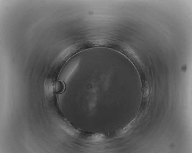 X0000093740124200710231219