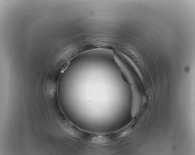 X0000093740125200710231219