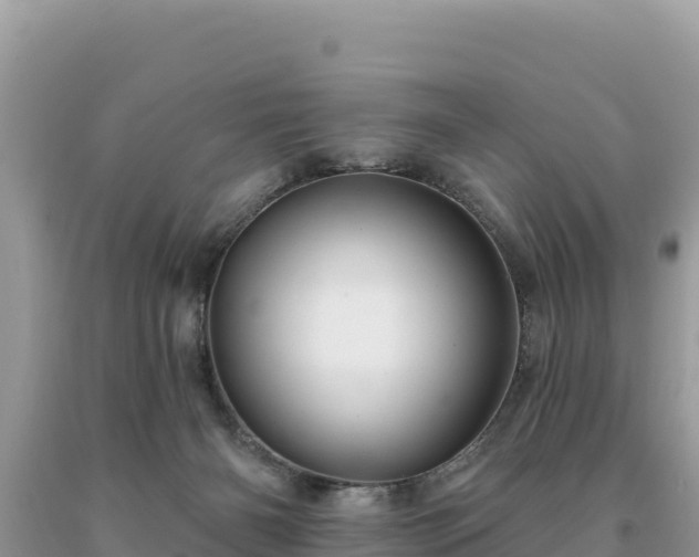 X0000093740126200710231219