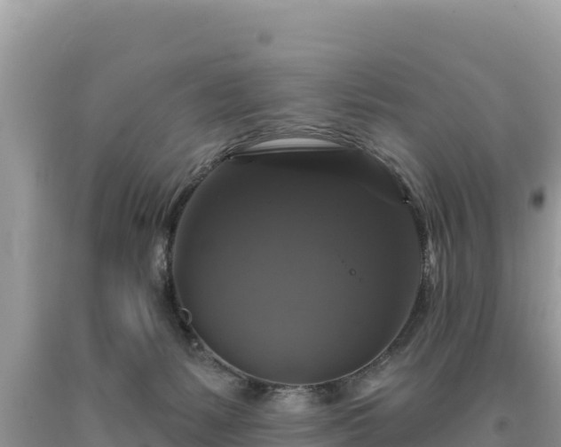 X0000093740127200710231219