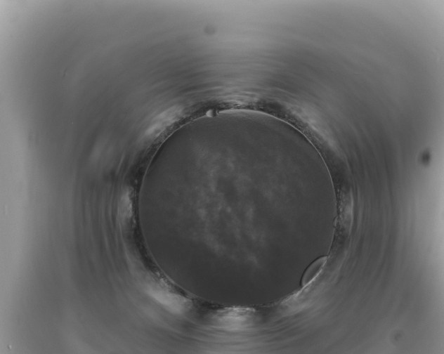 X0000093740128200710231219