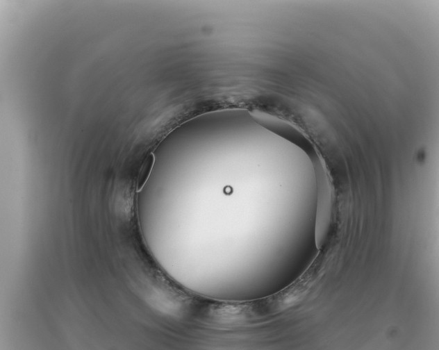 X0000093740129200710231219