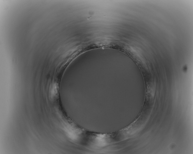 X0000093740130200710231219