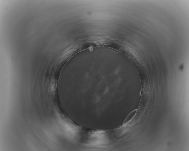 X0000093740132200710231219