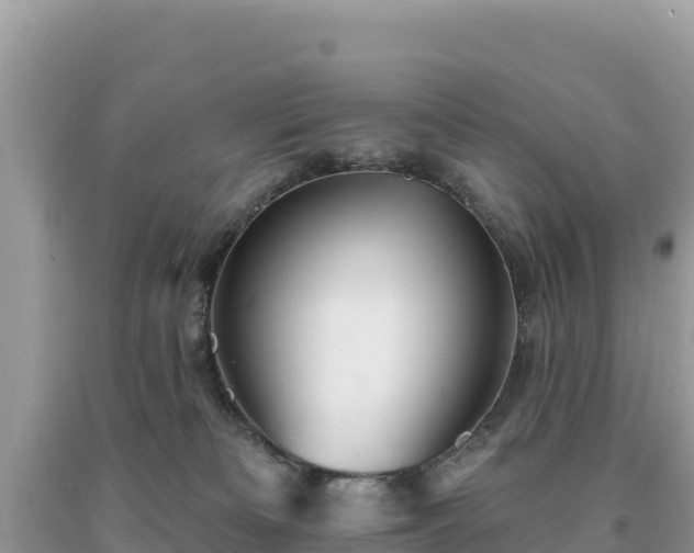 X0000093740133200710231219