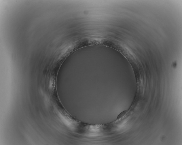 X0000093740134200710231219