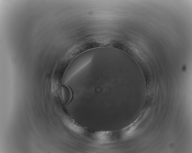 X0000093740136200710231219