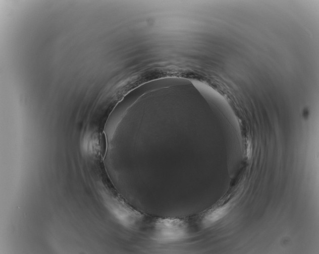 X0000093740137200710231219