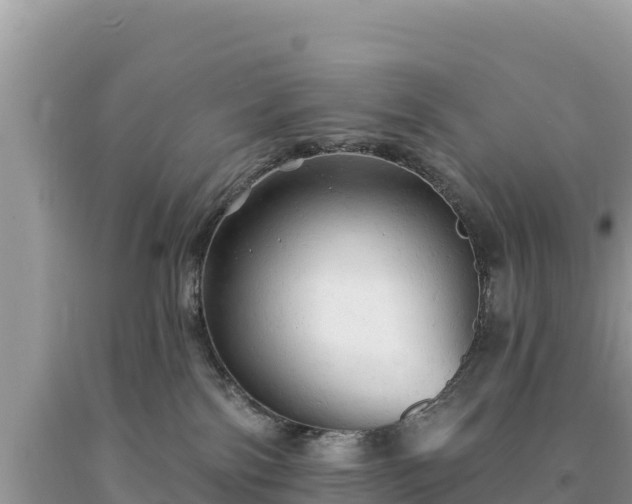 X0000093740138200710231219