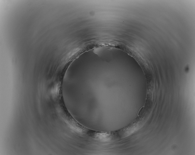 X0000093740139200710231219