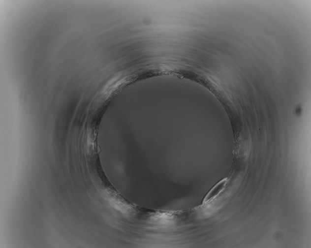 X0000093740140200710231219