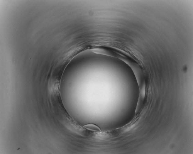 X0000093740141200710231219