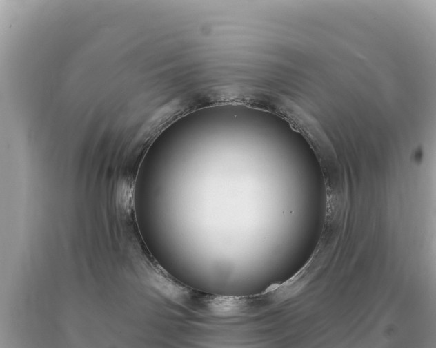 X0000093740142200710231219