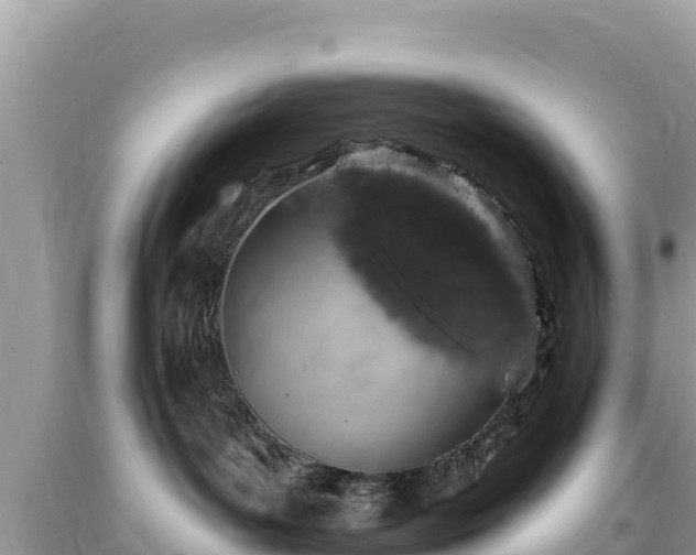 X0000093740143200710231219