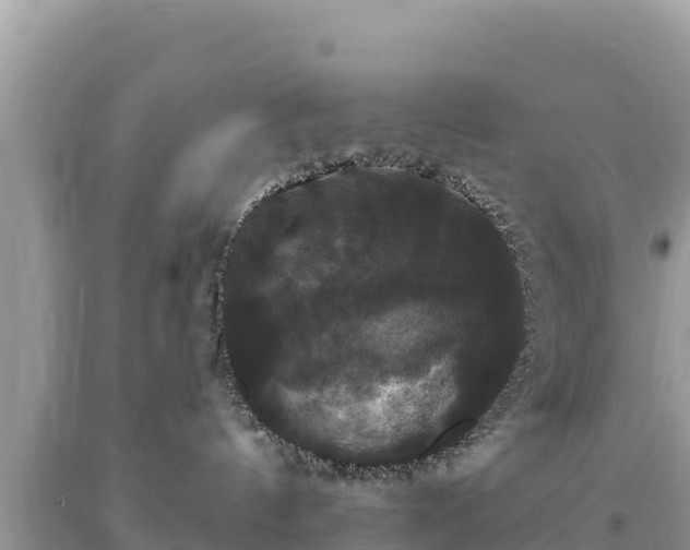 X0000093740144200710231219