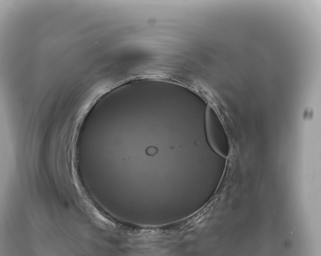 X0000093740145200710231218