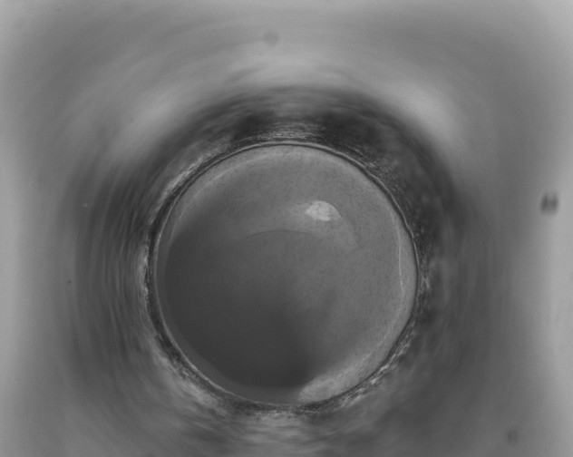 X0000093740146200710231218