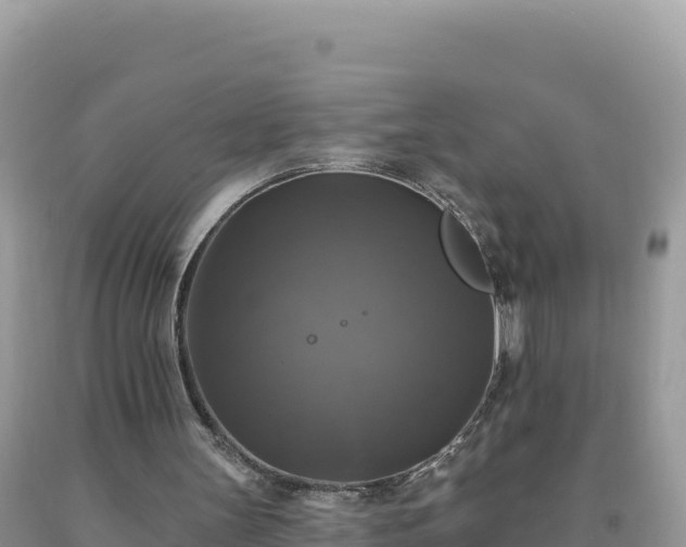 X0000093740147200710231218