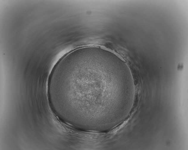 X0000093740148200710231218